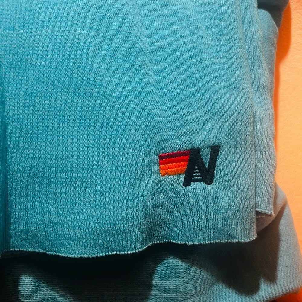 ✨RARE✨Aviator Nation “Palm Tree Music Festival Oahu  Hawaii” Teal Blue Hoodie - Picture 4 of 4